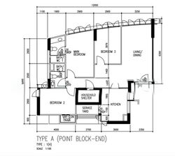 the-coris photo thumbnail #1